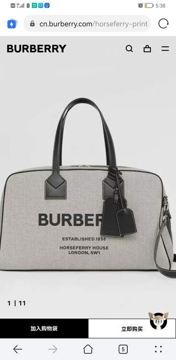 Picture of Burberry Handbags _SKUfw160162163fw
